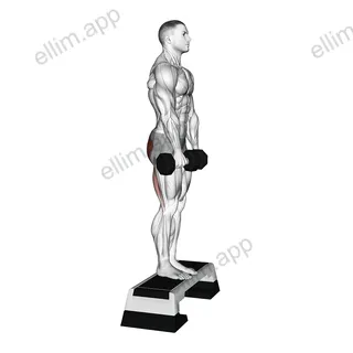 Dumbbell Jefferson Curl exercise targeting Hips