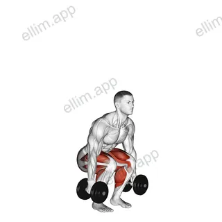 Dumbbell Jumping Squat exercise targeting Plyometrics