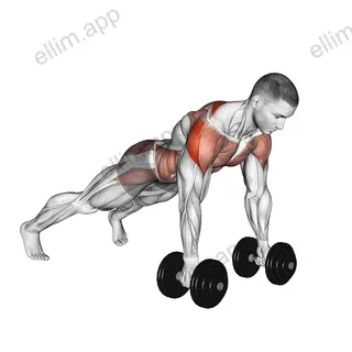 Dumbbell Lateral Raise Plank exercise targeting Waist