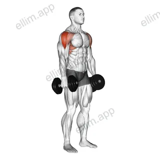 Dumbbell Lateral Raise exercise targeting Shoulders and Deltoid Lateral