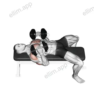 Dumbbell Lying Elbow Press exercise targeting Upper Arms and Triceps Brachii