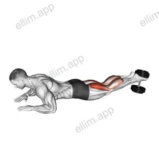 Dumbbell Lying Hamstring Curl exercise targeting Thighs and Hamstrings