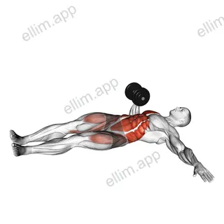 Dumbbell Lying Oblique V-up exercise targeting Waist