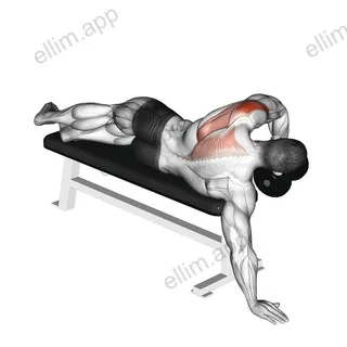 Dumbbell Lying One Arm Deltoid Rear exercise targeting Shoulders and Deltoid Posterior