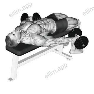 Dumbbell Lying Pronated Grip Maltese Hold exercise targeting Shoulders