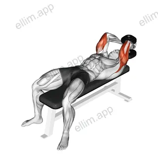 Dumbbell Lying Single Extension exercise targeting Upper Arms and Triceps Brachii