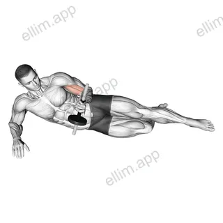 Dumbbell Lying Supination on Floor exercise targeting Forearms