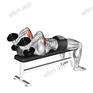 Dumbbell Lying Triceps Extension exercise targeting Upper Arms and Triceps Brachii