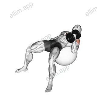 Dumbbell One Arm Hammer Press on Exercise Ball exercise targeting Upper Arms
