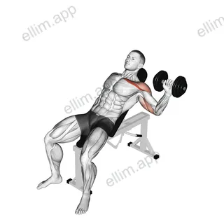 Dumbbell One Arm Incline Chest Press exercise targeting Chest and Pectoralis Major Clavicular Head