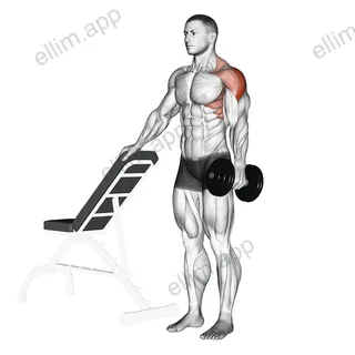 Dumbbell One Arm Lateral Raise exercise targeting Shoulders and Deltoid Lateral