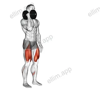 Dumbbell One Arm Lunge exercise targeting Thighs and Gluteus Maximus