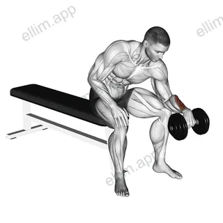 Dumbbell One arm Revers Wrist Curl exercise targeting Forearms and Wrist Extensors