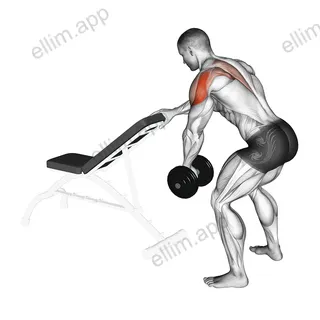 Dumbbell One Arm Reverse Fly (with support) exercise targeting Shoulders and Deltoid Posterior