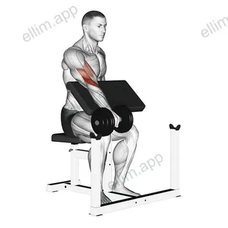 Dumbbell One Arm Reverse Preacher Curl exercise targeting Forearms and Brachioradialis