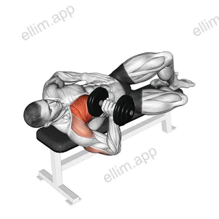 Dumbbell One Arm Side Lying Bench Press exercise targeting Chest