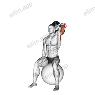 Dumbbell One Arm Triceps Extension on Stability Ball exercise targeting Upper Arms