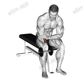 Dumbbell One arm Wrist Curl exercise targeting Forearms and Wrist Flexors