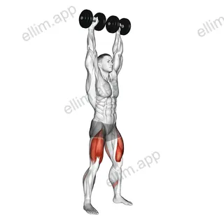 Dumbbell Overhead Squat exercise targeting Gluteus Maximus and Quadriceps