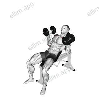 Dumbbell Palms In Incline Bench Press exercise targeting Upper Arms and Pectoralis Major Clavicular Head