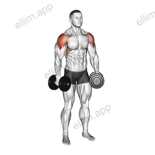 Dumbbell Partials Lateral Raise exercise targeting Shoulders