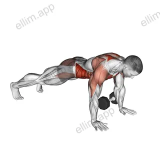 Dumbbell Plank Pass Through exercise targeting Waist and Obliques