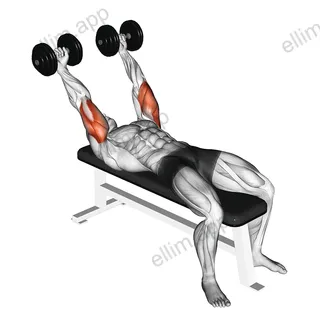 Dumbbell Pronate grip Triceps Extension exercise targeting Upper Arms