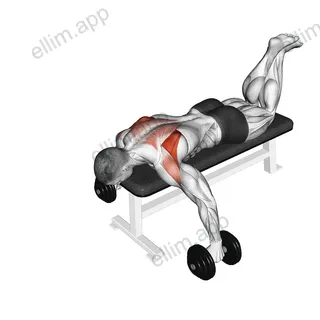 Dumbbell Prone Full Can Exercise exercise targeting Shoulders