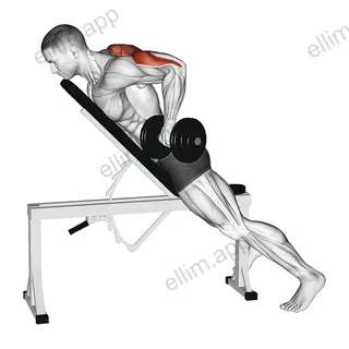 Dumbbell Prone Triceps Kickback exercise targeting Upper Arms and Triceps Brachii