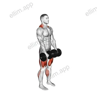 Dumbbell RDL to Jump Shrug exercise targeting Hamstrings and Quadriceps