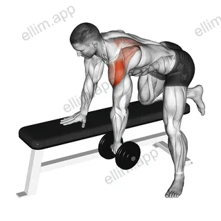 Dumbbell Rear Delt Row exercise targeting Shoulders