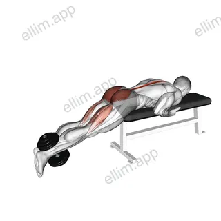 Dumbbell Reverse Hyperextension on Bench exercise targeting Hips