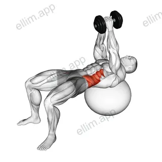 Dumbbell Russian Twist (on stability ball) exercise targeting Waist