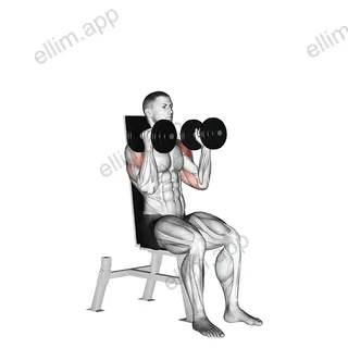 Dumbbell Seated Alternate Press exercise targeting Shoulders and Deltoid Anterior