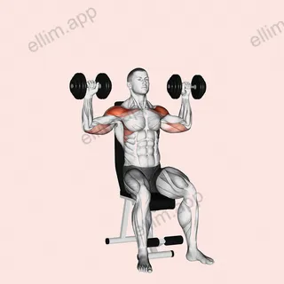 Dumbbell Seated Alternate Shoulder exercise targeting Shoulders and Deltoid Anterior