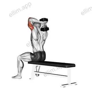 Dumbbell Seated Bench Extension exercise targeting Upper Arms and Triceps Brachii