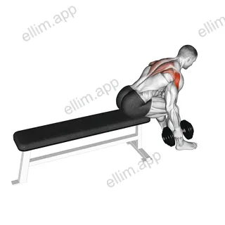 Dumbbell Seated Bent Over Alternate Rear Delt Fly exercise targeting Shoulders