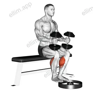 Dumbbell Seated Calf Raise exercise targeting Calves and Gastrocnemius