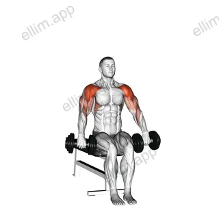 Dumbbell Seated Cuban Press exercise targeting Shoulders