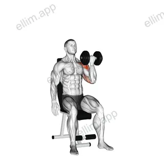 Dumbbell Seated One Arm Arnold Press exercise targeting Shoulders