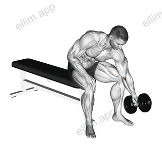 Dumbbell Seated One Arm Rotate exercise targeting Forearms and Wrist Flexors