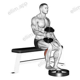Dumbbell Seated One Leg Calf Raise - Hammer Grip exercise targeting Calves and Gastrocnemius