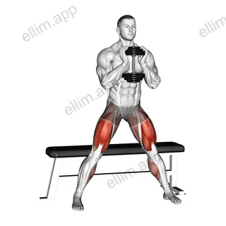 Dumbbell Side Bench Squat exercise targeting Thighs