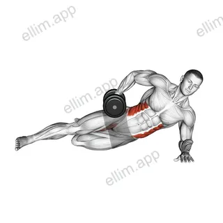 Dumbbell Side Bridge with Bent Leg exercise targeting Waist and Obliques