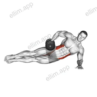 Dumbbell Side Bridge exercise targeting Waist and Gluteus Medius