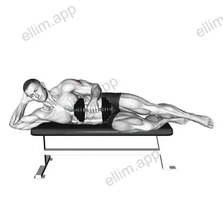 Dumbbell Side Lying External Rotation (on a bench) exercise targeting Back