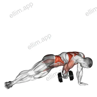 Dumbbell Side Plank with Rear Fly exercise targeting Waist and Infraspinatus