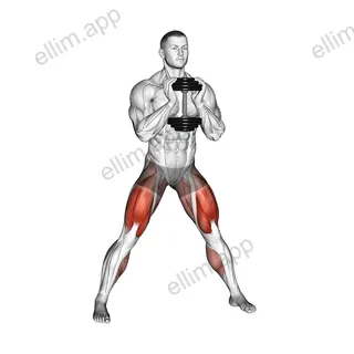 Dumbbell Side Squat exercise targeting Thighs and Gluteus Maximus