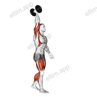 Dumbbell Single Arm Overhead Carry exercise targeting Shoulders and Thighs