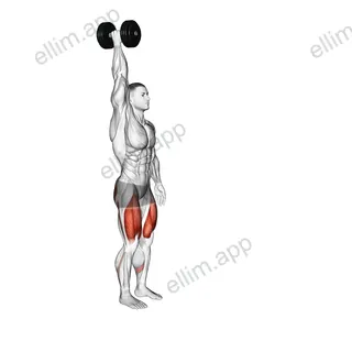 Dumbbell Single Arm Overhead Lunge exercise targeting Thighs and Gluteus Maximus